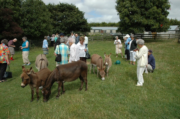 Farm visitors